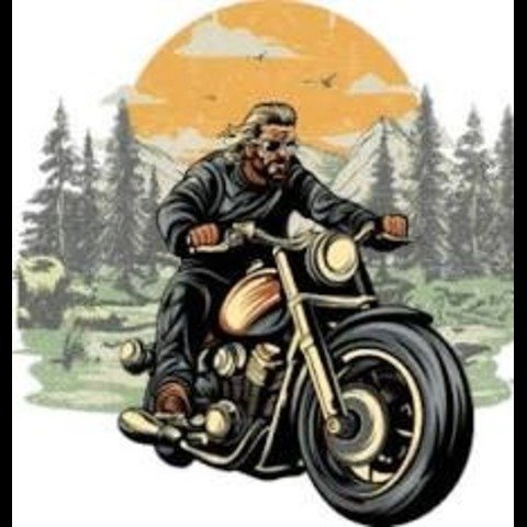 Wheelstreet Bike Rental